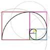 The golden ratio